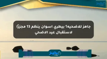 جاهز للأضحية؟ بيطري أسوان ينظم 13 مجزرًا لاستقبال عيد الأضحى
